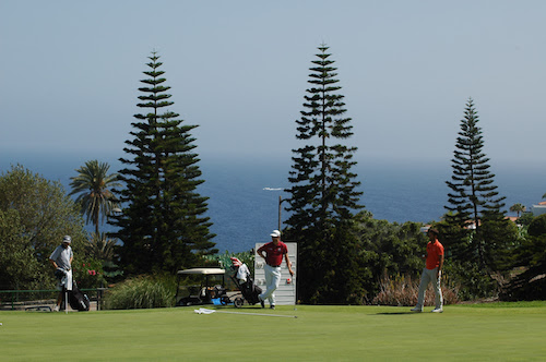 Tecina-Golf-1.jpg