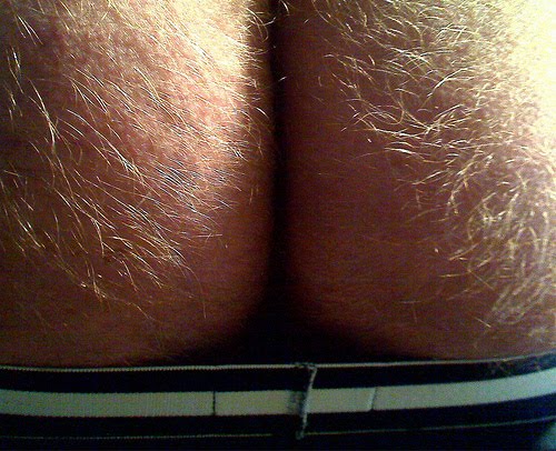 user_2087_culo_peludo.jpg