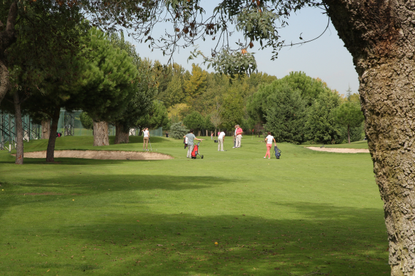 Escuela de Golf de la Federación de Madrid 2.png
