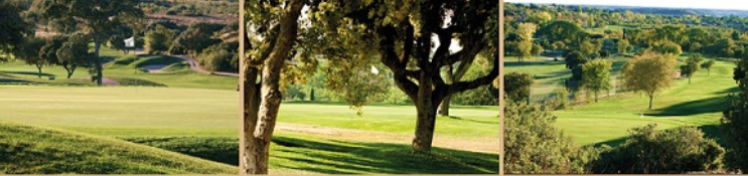 Captura de pantalla 2018-03-14 a las 6.52.42.png